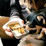 フランダース - 