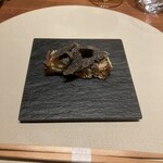 スガラボヴィー - 