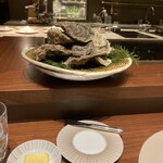 スガラボヴィー - 