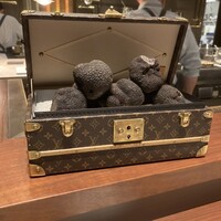 スガラボヴィー - 