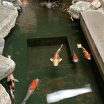 Nihon Ryouri Zuihou - 店内の池