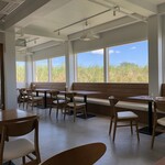 Blue Turtle Farm Mango Cafe - 店内入口側からの眺め