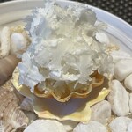 レストラン ラ・フロレゾン・ドゥ・タケウチ - L'AMUSE-BOUCHE