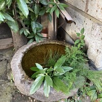 蕎麦懐石 無庵 - 