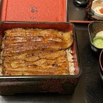 Unagi Fugu Isshin - 