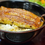 Unagi Hashimoto - 