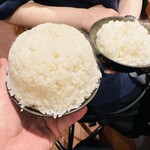 ホルモン たけだ - ライス山盛り、ライス中