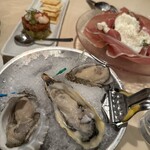 Oyster Bar ジャックポット - 