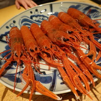 日本料理FUJI - 本日の主役、赤座海老