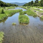 middle - 賀茂川の流れは絶えずして。。。☆