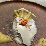 cuisine C - 黒胡麻のブランマンジェ　キウイのピュレと奥にはドライトマト　上の種はアマニ。　