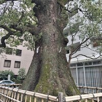 クリマ ディ トスカーナ - 