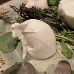 OBICA Mozzarella Bar - 