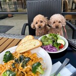 CAFE PLATY - テラス席では愛犬とお食事も可能♪