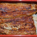 Shinjuku Unagi Kikukawa - 