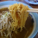 Dosankotaishou - 中太もっちり麺