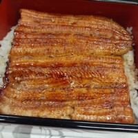 割烹 蒲焼 大沼 -  割烹 蒲焼 大沼 -