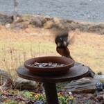 くつきそば 永昌庵 - 