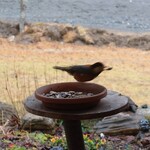 くつきそば 永昌庵 - 