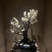 一鳥目 とり松 - 