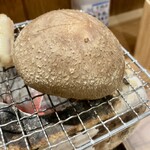 しんのすけ - 炭焼き_しいたけ