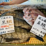 モキチ クラフト ビア - 本日の鮮魚