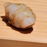 鮨仙八 - アオリイカ、10日熟成