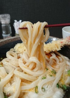 Onoudon - とろみを纏ったうどん。ぶっかけうどんスペシャル1000円