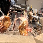 炭火焼き リリー - 原始焼き