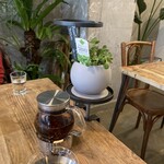 VEGE-PLANT CAFE BAR LEBRO - 