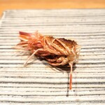 鮨 巳之七 - 海老頭、塩焼き