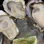 oyster market カキイロハ - 