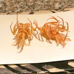 天麩羅 巽 - 才巻海老