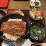 Unagi Hashimoto - 