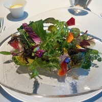 レフェルヴェソンス - 