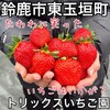 トリックスいちご園 - 