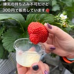 トリックスいちご園 - 