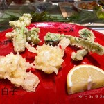 築地寿司清 - おまかせの天ぷら  初春感じます✨️