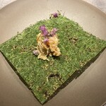 シュヴァル・ドゥ・ヒョータン - 