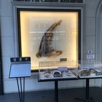 筑紫樓 銀座店 - 