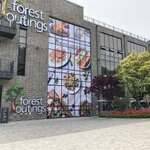FOREST OUTINGS 포레스트아웃팅스 - 