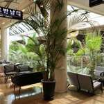 FOREST OUTINGS 포레스트아웃팅스 - 