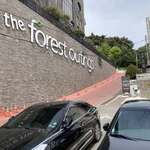 FOREST OUTINGS 포레스트아웃팅스 - 