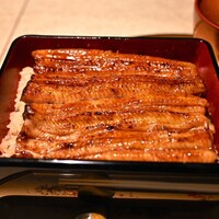 うなぎ 目白ぞろ芽 - 