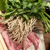 飯家くーた 銀座七丁目店 - セリのしゃぶしゃぶ最高でした。