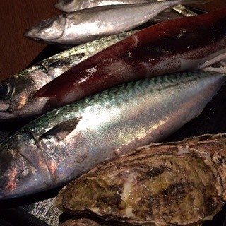 居酒屋じゅん_2