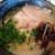 博多ラーメン 池めん - 料理写真:濃厚とんこつ 麺は硬め