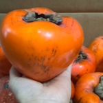 みさき果樹園 - こんなに大きい(*^艸^*