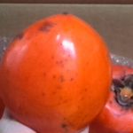 みさき果樹園 - 大きな大きな富士柿です