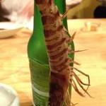 活海老バル orb - ◆活車海老